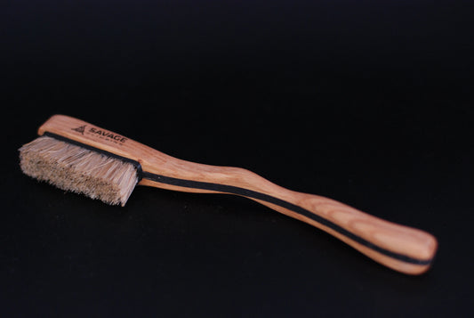 Climbing brush with replaceable bristles
